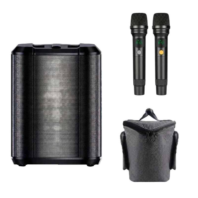 GTRONIC ALTAVOZ HONOR THUNDER LIVE8 600W